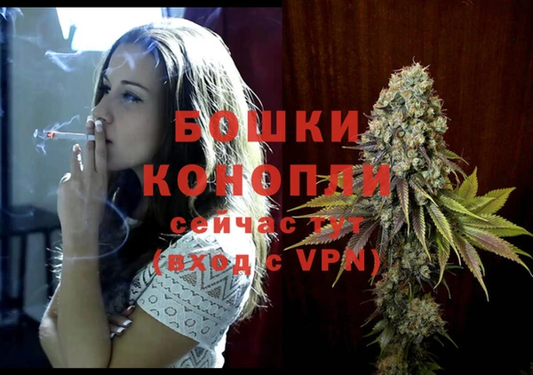 метадон Бикин