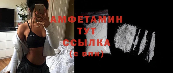 дурь Няндома