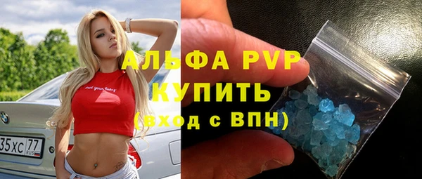 хмурый Абаза