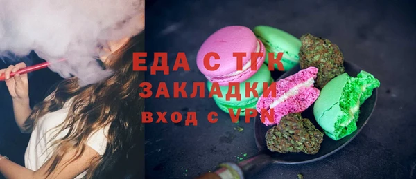 хмурый Абаза